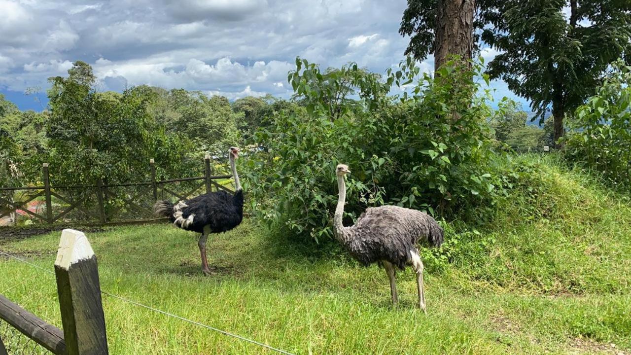 Rancho Ecoturistico El Faro Hotel La Mesa  Luaran gambar