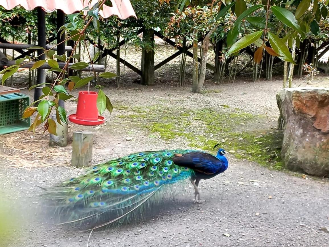 Rancho Ecoturistico El Faro Hotel La Mesa  Luaran gambar
