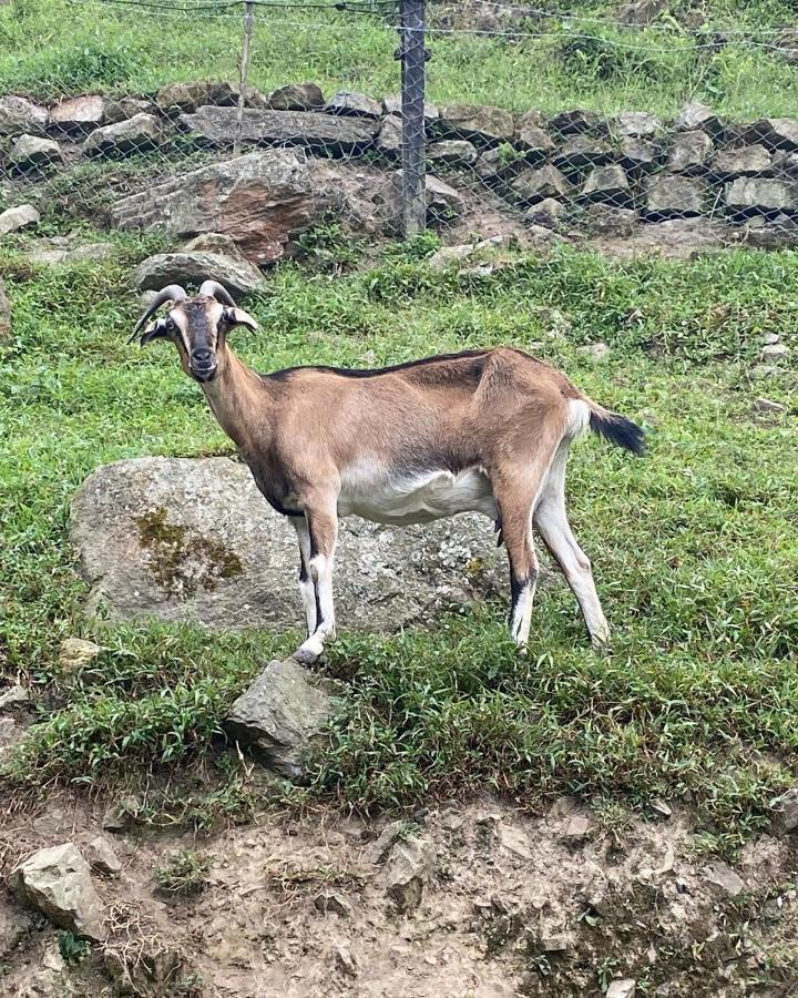 Rancho Ecoturistico El Faro Hotel La Mesa  Luaran gambar