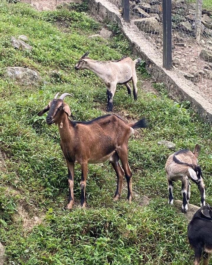 Rancho Ecoturistico El Faro Hotel La Mesa  Luaran gambar